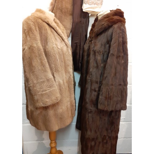 149 - A mid 20th Century National Fur Company brown ermine fur coat with shawl collar 40