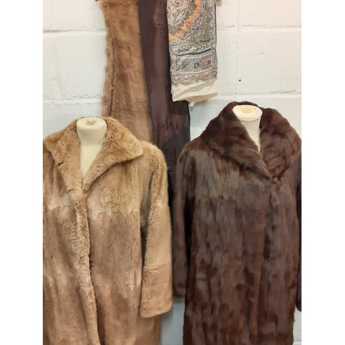 149 - A mid 20th Century National Fur Company brown ermine fur coat with shawl collar 40