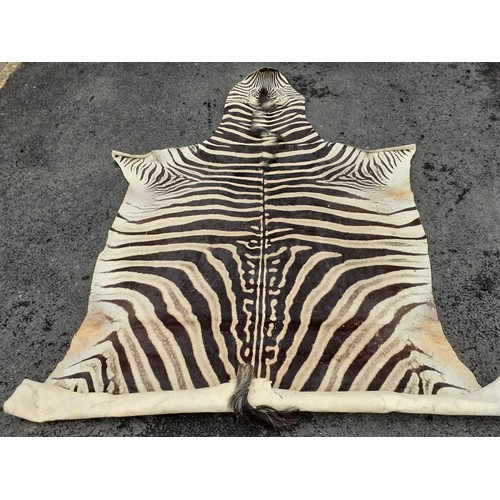 143 - A large vintage zebra hide A/F, approx 105