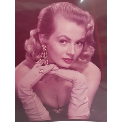 224 - A collection of 2 large Marilyn Monroe original transparencies and 8 large Anita Ekberg original col... 