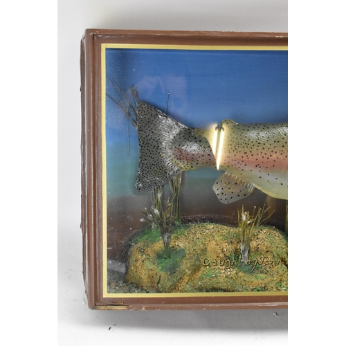 214 - A Taxidermy Rainbow Trout in a bow fronted case, set in a naturalistic setting, bearing the catch de... 