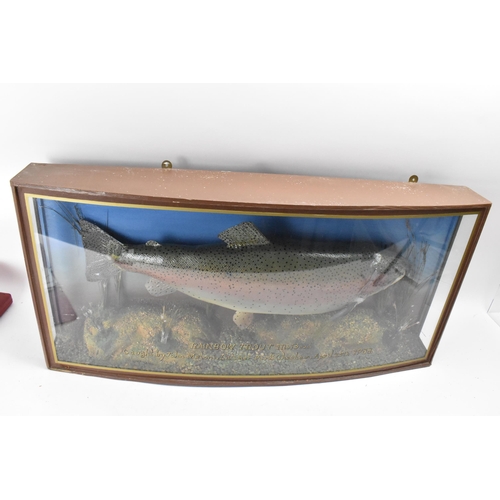 214 - A Taxidermy Rainbow Trout in a bow fronted case, set in a naturalistic setting, bearing the catch de... 