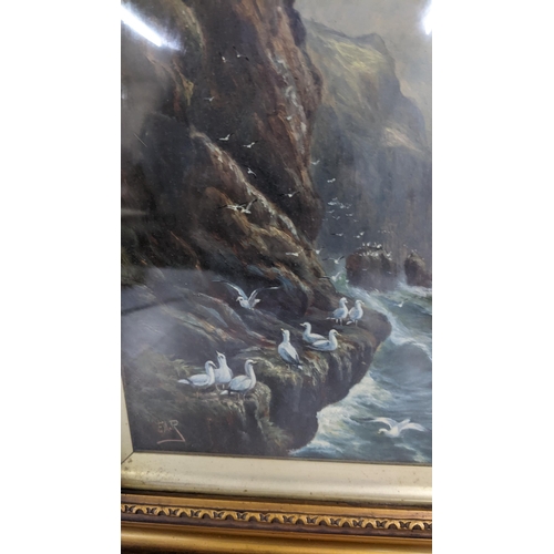 476 - F.A.R - a pair of coastal scenes with birds on rocky cliffs, oil initial 34cm x 24cm framed and glaz... 