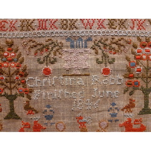 87 - An mid 19th Century sampler, unframed, worked by Christina Robb June 1846 having garden scenes, alph... 