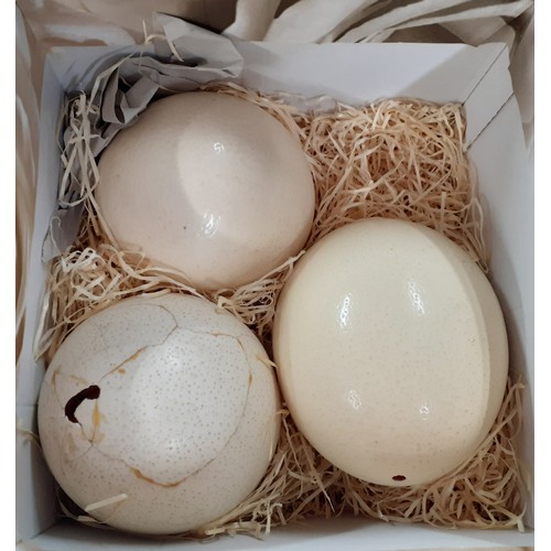 65 - Three ostrich eggs A/F, together with an oak dome cased singer sewing machine, serial no Y8917673 an... 