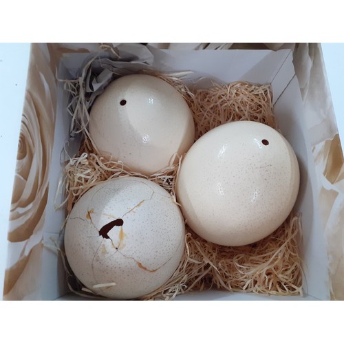 65 - Three ostrich eggs A/F, together with an oak dome cased singer sewing machine, serial no Y8917673 an... 