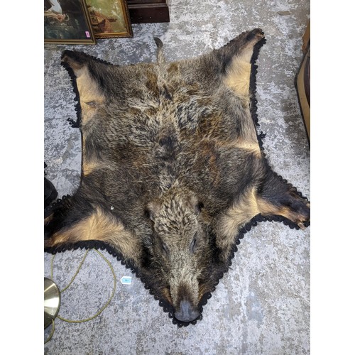 120 - A taxidermist wild Boar rugLocation:G