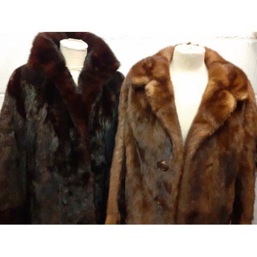 127 - A 1970's dyed chestnut brown ranch mink coat purchased from Dickins & Jones complete with 1978 recei... 