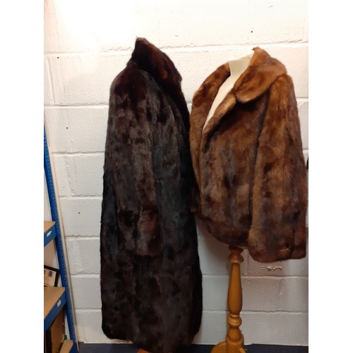 127 - A 1970's dyed chestnut brown ranch mink coat purchased from Dickins & Jones complete with 1978 recei... 