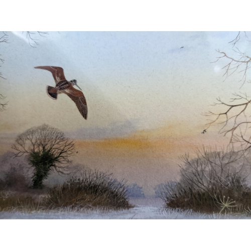 220 - Peter Hayman - estuary winter landscape with trees and wildfowl, watercolour, signed lower right, 31... 