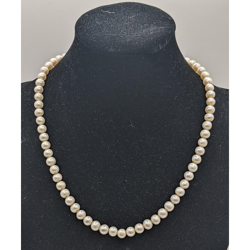 170 - A yellow gold and cultured pearl single strand necklace with a bolt ring clasp, unmarked but tests a... 