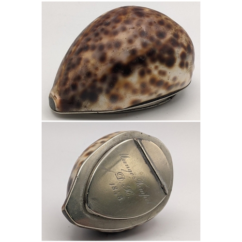 315 - An early Victorian snuff box formed from a Cyprae Tigris seashell, with a silver plated engraved lid... 