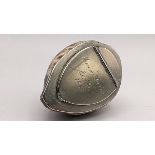 315 - An early Victorian snuff box formed from a Cyprae Tigris seashell, with a silver plated engraved lid... 