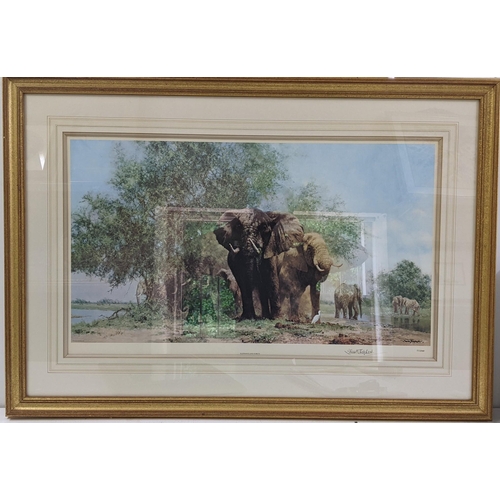 144 - David Shepherd - a limited edition signed print entitled 'Elephants and Egrets' 800/1300, 77cm x 46c... 