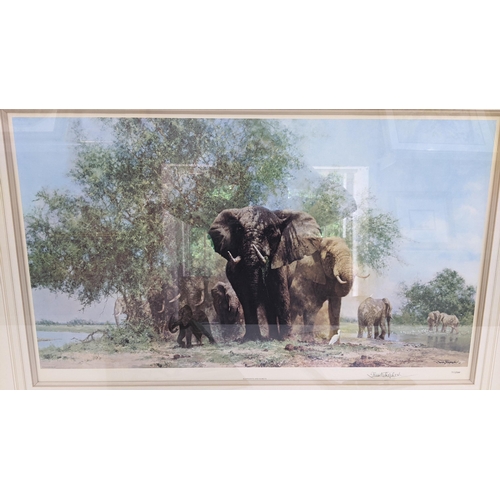 144 - David Shepherd - a limited edition signed print entitled 'Elephants and Egrets' 800/1300, 77cm x 46c... 