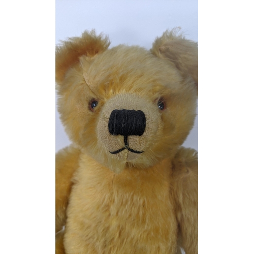 190 - A 1930's Farnell teddy bear with gold coloured mohair, kapok stuffed, having amber and black glass e... 