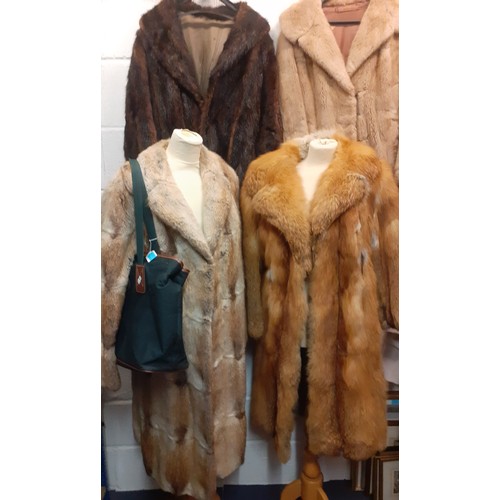 72 - A group of fur coats to include a late 1970's/early 1980's red fox calf length coat A/F with shawl c... 