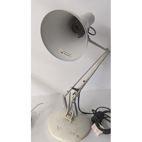 303 - Two Anglepoise lamps, one A/F, both with the plugs cut off Location:RAF
If there is no condition rep... 