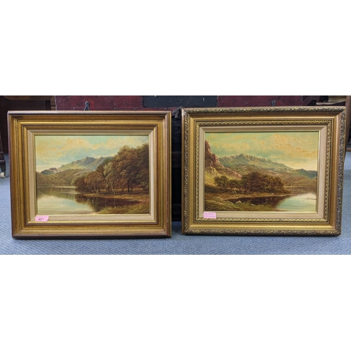 401 - Two landscapes oil on canvas depicting lake/loch scenes with trees and mountains in the background, ... 