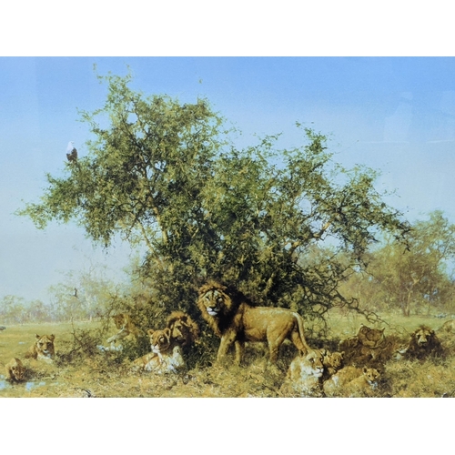 402 - Two David Shepherd prints, one depicting a resting leopard called The Sentinel, signed with a backst... 