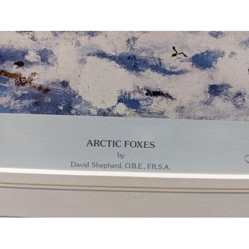 421 - A limited edition David Shepherd print depicting two Arctic Foxes titled Arctic Foxes, number 369/15... 