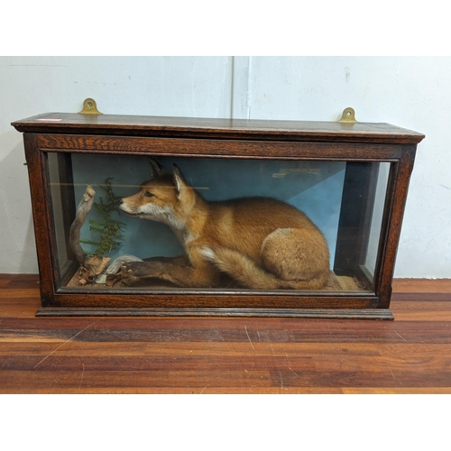 53 - Taxidermy - a fox looking at a snail, in an oak glazed case
Location: STAIRS
If there is no conditio... 