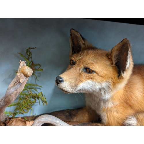 53 - Taxidermy - a fox looking at a snail, in an oak glazed case
Location: STAIRS
If there is no conditio... 