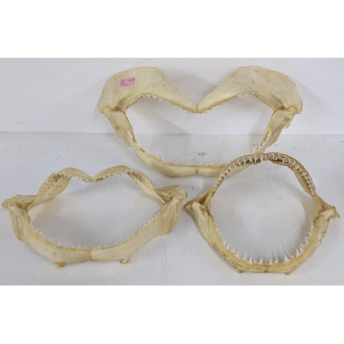 546 - Three shark jaws with teeth 30cm x 22cm, 47cm x 24cm, 37cm x 20cm Location: LWF
If there is no condi... 