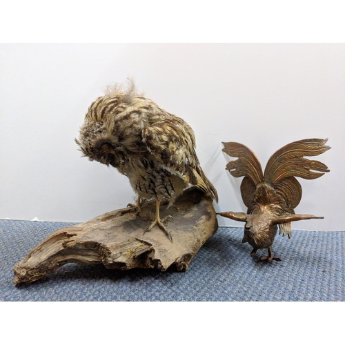 283 - A taxidermy owl perched on a naturalistic base, together with a metal model of a cockerel
Location:1... 