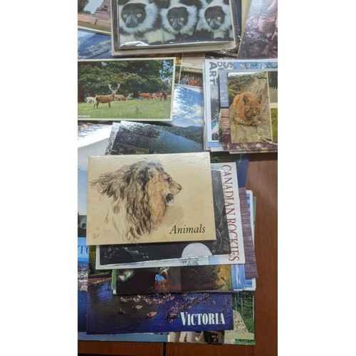 624 - Four postcard albums to include postcards from Snowdon, Thompson River and others, along with a quan... 