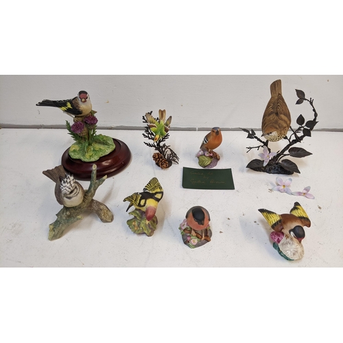 344 - Two Royal Worcester birds on metal branches and four others along with two Cynthia Brown model birds... 