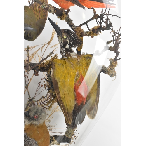 150 - A Victorian taxidermy display group of exotic birds perched on branches and in a naturalistic settin... 