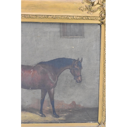 205 - A mid 19th century oil on canvas study of a horse in a stable, indistinctly signed to the lower left... 