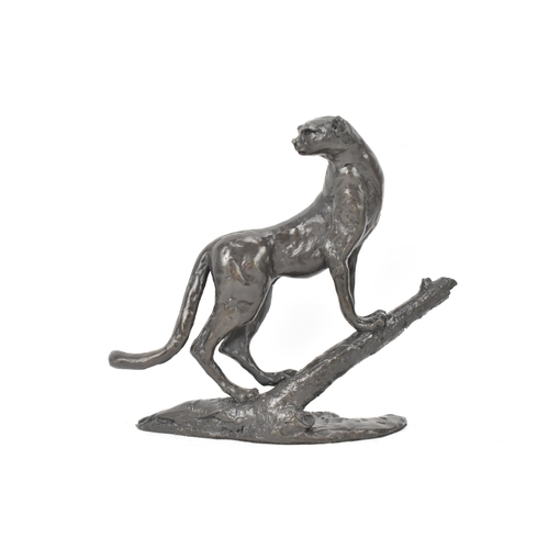 32 - Jonathan Saunders - a patinated bronze model of a cheetah on a branch limited 52/250 stamped and ini... 