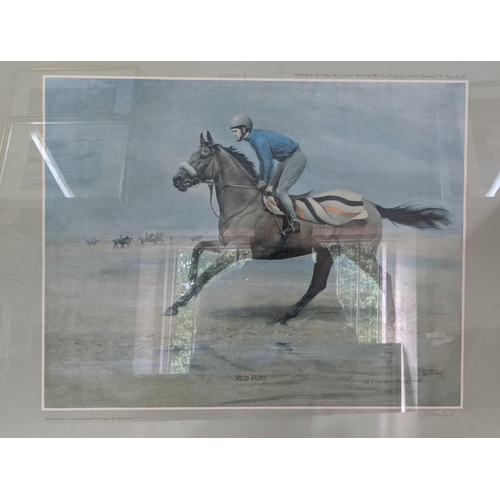 109 - SL Crawford - Red Rum signed by the artist framed and glazed, 41x52cm
Location: LWM