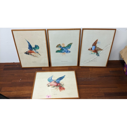 19 - Four watercolours, each of a bird to include a parrot
Location:G
If there is no condition report sho... 