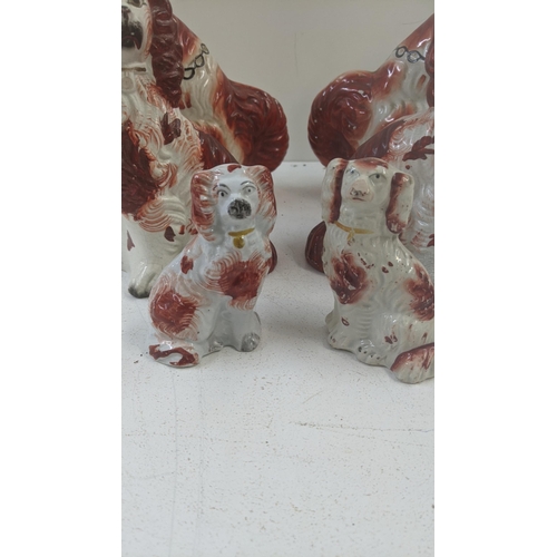 350 - A group  of six Staffordshire dogs to include two of each size  
Location: 8-4
If there is no condit... 