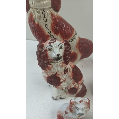 350 - A group  of six Staffordshire dogs to include two of each size  
Location: 8-4
If there is no condit... 