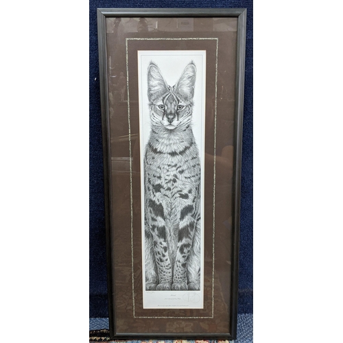 377 - Gary Hodges - Serval 'Limited edition signed print 482/850 63x15.5 framed and glazed 
Location: BWR
... 