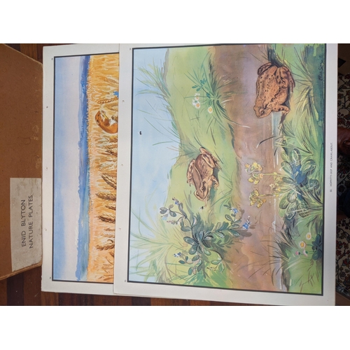 401 - Enid Blyton - Nature plates in a box and two conical prints
Location: BWR
If there is no condition r... 