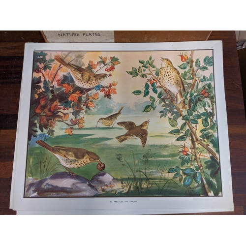 401 - Enid Blyton - Nature plates in a box and two conical prints
Location: BWR
If there is no condition r... 