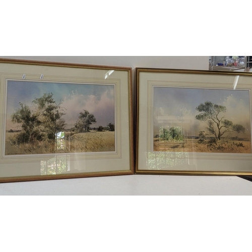 498 - A pair of framed and glazed watercolours singed by William H North to the lower left, 53.5cm x 34cm ... 