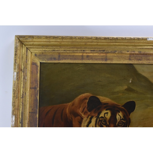 182 - P.T.Tax - A late 19th century oil on canvas painting depicting a resting tiger, signed and dated 189... 