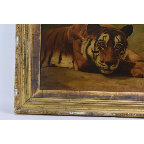 182 - P.T.Tax - A late 19th century oil on canvas painting depicting a resting tiger, signed and dated 189... 