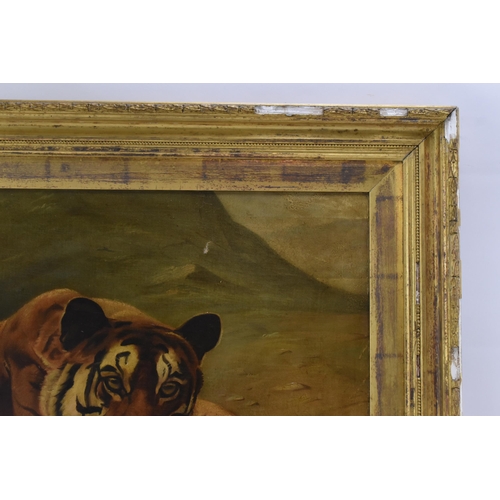 182 - P.T.Tax - A late 19th century oil on canvas painting depicting a resting tiger, signed and dated 189... 