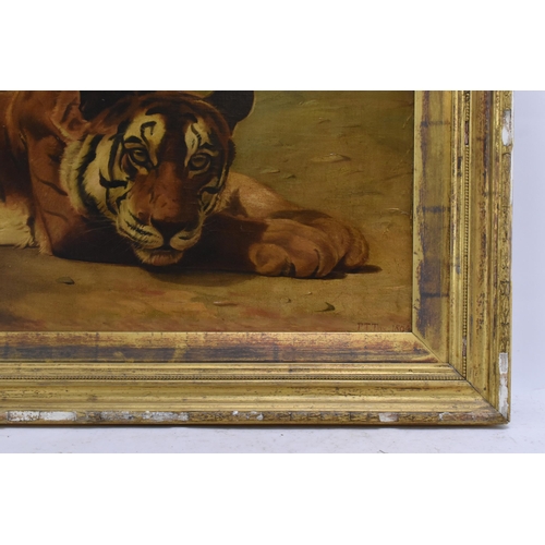 182 - P.T.Tax - A late 19th century oil on canvas painting depicting a resting tiger, signed and dated 189... 