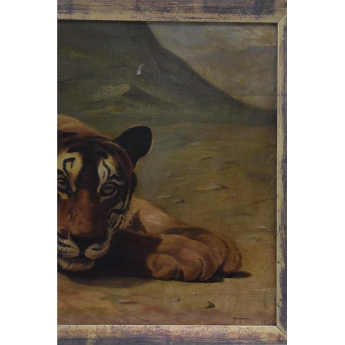 182 - P.T.Tax - A late 19th century oil on canvas painting depicting a resting tiger, signed and dated 189... 