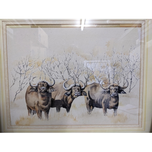 522 - G W Graves - landscape with three buffalo and trees behind, watercolour, signed below mount, 41cm x ... 