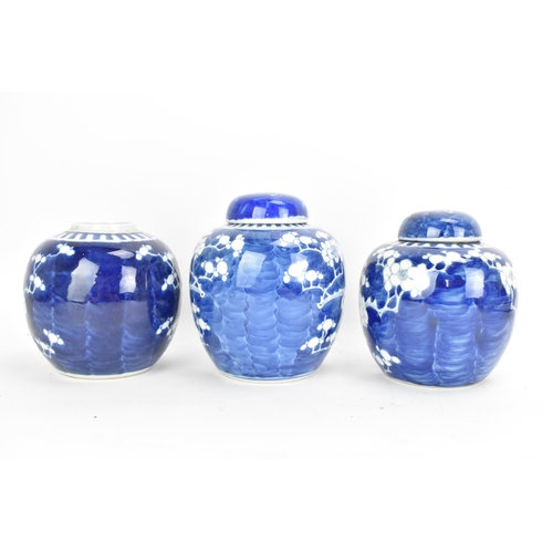 44 - Three Chinese late Qing dynasty blue and white ginger jars, late 19th/early 20th century, each in th... 