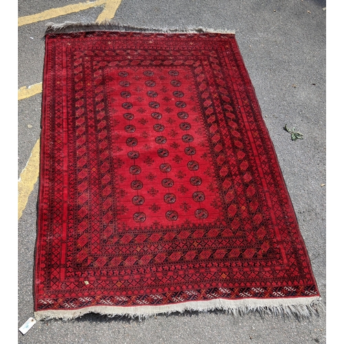 181 - An Afghanistan Turkoman rug with repeated gulls on a red ground 155cms x 233cms
Location: G
If there... 